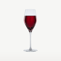 Calici da champagne Spiegelau Authentis / flute da 27 cl - 12 pezzi