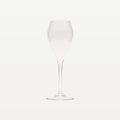 Calici da champagne professionali da lounge, flute in plastica da 24 cl – 6 pezzi