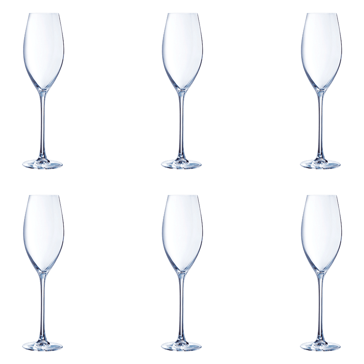 Chef & Sommelier Grand Cepage Champagneglas / Flute 24 Cl - 6 Stuks - Glazen.nl
