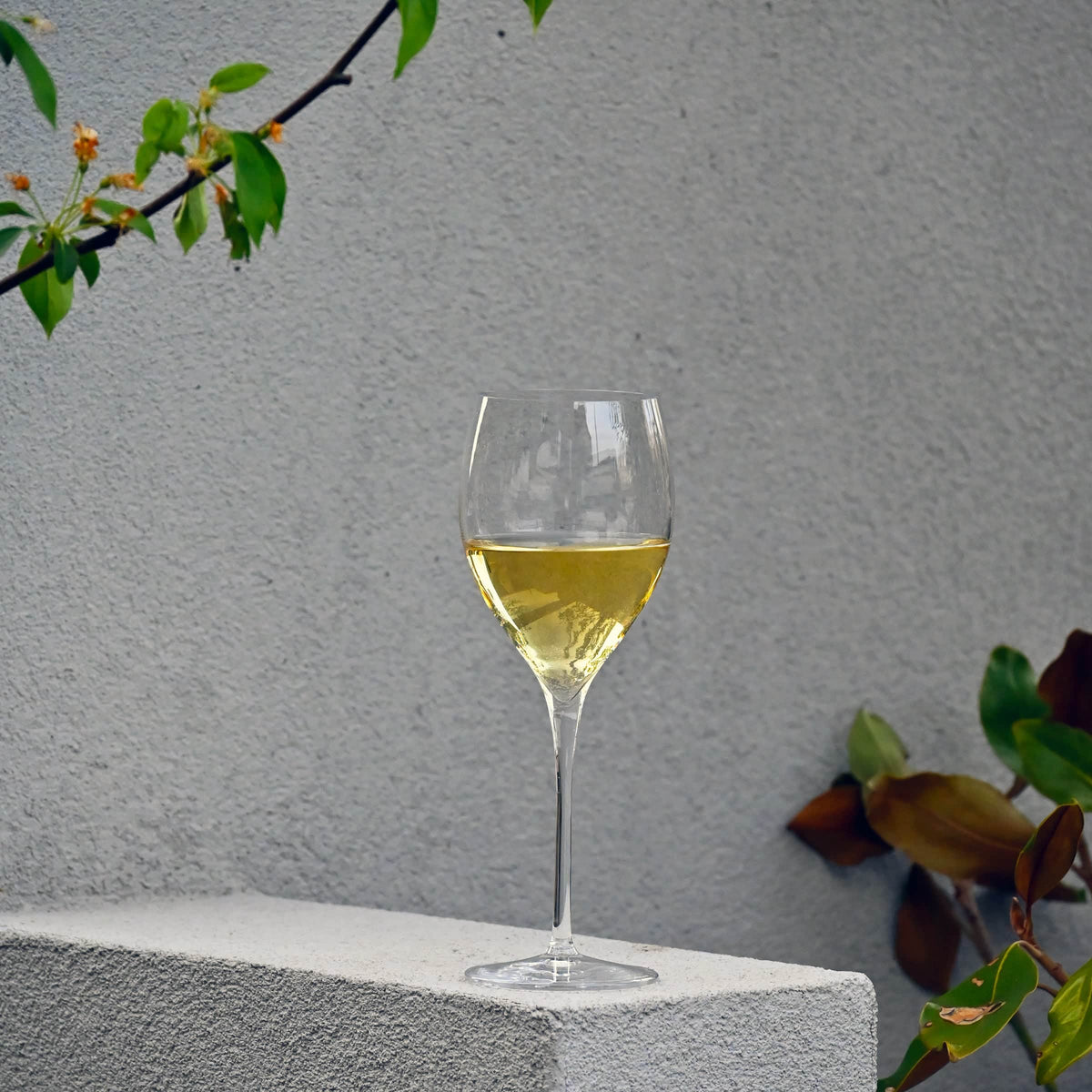 Luigi Bormioli Magnifico Tumbler D.O.F. 50 Cl - 6 Stuks - Glazen.nl